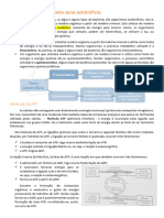 Obtenção de Matéria Pelos Seres Autotróficos