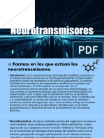 Presentación de Los Neurotransmisores