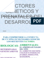 B) Factores Geneticos y Pre Nat Ales Del Desarrollo