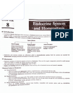 Endocrine System