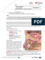 FT 02 Bio12 Intro Srmasculino 2324