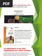 Maiz y Frijol Biofortificados Intercalados de Café