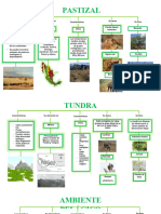 Mapas Conceptuales Ecosistemas