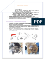 DERMATITIS ATOPICA. M.V. Lisandro Reynes