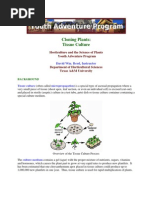 Cloning Plants