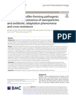 Evolution of Biofilm-Forming Pathogenic Bacteria in The Presence of Nanoparticles and Antibiotic: Adaptation Phenomena and Cross-Resistance