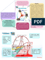 Mapa Conceptual Ciclo de Las Rocas