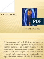 Sistema Renal