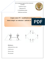 Compte Rendu TP 1: Modélisation Moléculaire Séance Dirigée Sur Ordinateur: Méthode de Huckel Simple