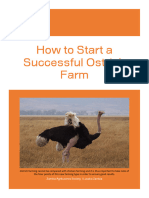 How To Start A Successful Ostrich Farm Zas