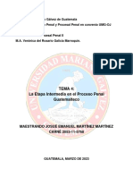 TEMA 4 (La Etapa Intermedia en El Proceso Penal Guatemalteco)