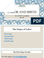 Labor and Birth (Part3)