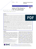 Columnar Cell Lesions of The Breast: A Practical Review For The Pathologist