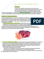 Tema 9 - Orgánulos Membranosos