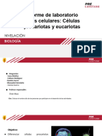 Informe de Laboratorio PL2 - Nivelación G5