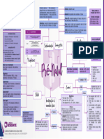 Mapa - Mental-SESPE Pre-Natal