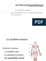 Anatonie Musculosqueletique Part1 PDF