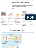 Comunicación Intercelular