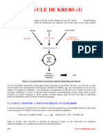 Cycle de Krebs 1