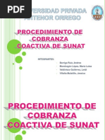 Procedimiento de Cobranza Coactiva