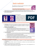 Clase 1 - Quiste Radicular