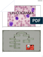 Aula 04 - Leucograma