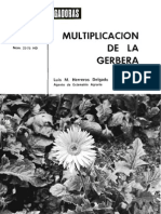 HD Multiplicación de La Gerbera