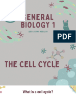 Cell Cycle