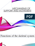 Lec 1516 Bone Tissue and Skeletal System