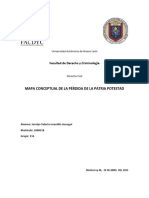 Patria Potestad Mapa Conceptual