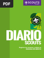 Diario Unidad Scout