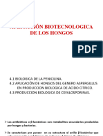 Aplicación de La Biotecnología de Los Hongos