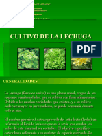 La Lechuga