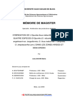 Mémoire de Magister