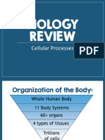 Lesson 1 Cellular Processes PPT