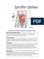 Explain The Role of The Following Organs in The Digestive System The Mouth and Salivary Glands