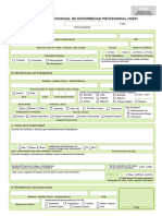 Nuevo Formulario Diep