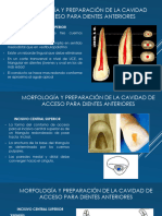 Morfología y Preparación de La Cavidad de Acceso