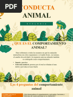 Comportamiento Animal