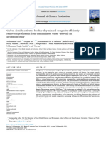 Arif 2022 Ciprofloxacin