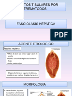 Fasciolasis Hepatica