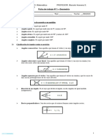 Pauta Geometría