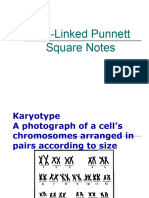 Sex-Linked Punnett Square Notes