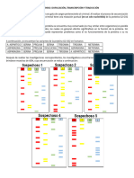 Taller Repaso - Duplicación-Secuenciacion