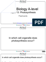 Flashcards - Topic 13 Photosynthesis - CAIE Biology A Level (2019 2021 Syllabus)