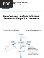 08 - Fermentacion y Ciclo de Krebs