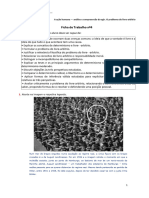 Ficha Global - Ação e Problema Do Livre-Arbítrio - CORREÇÃO