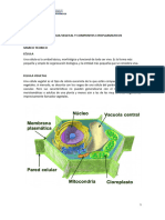 Citologia Vegetal