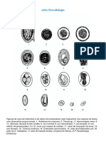 Atlas Parasitologia