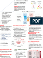 Aula 3 - Metabolismo Energético